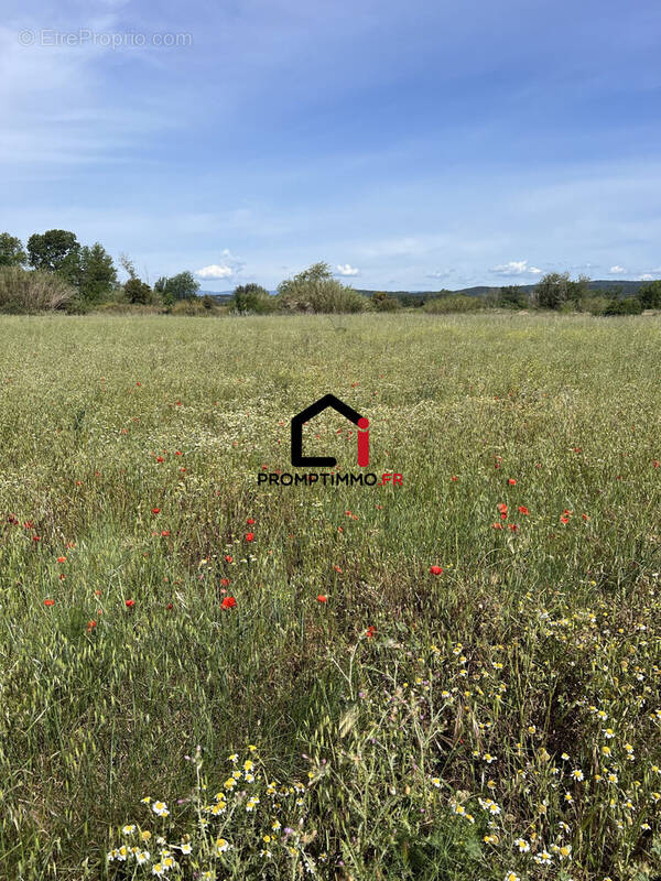 Terrain à CANET