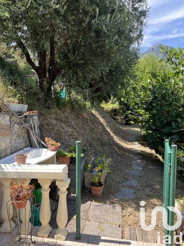 Photo 8 - Terrain à MENTON