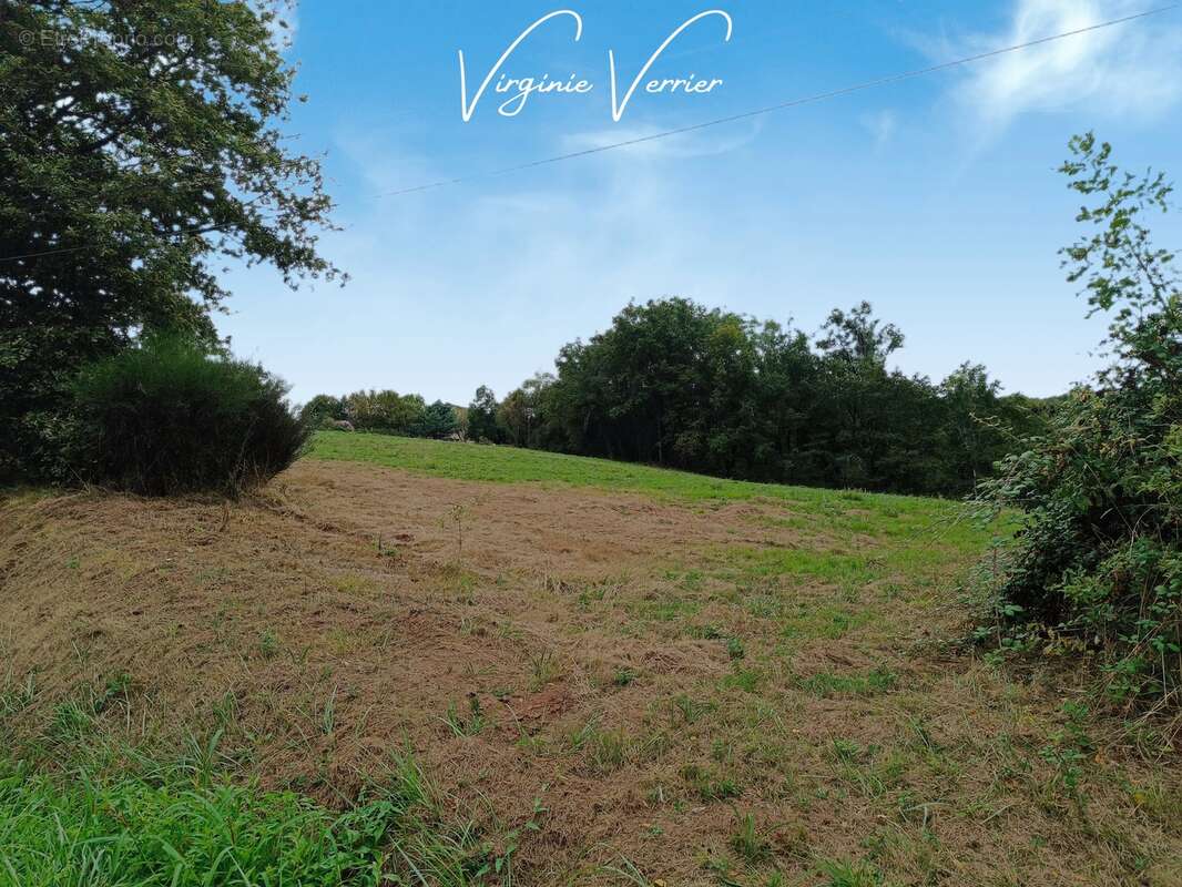 Terrain à SAINT-CYPRIEN
