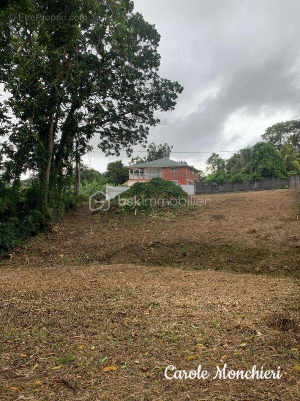 Terrain à CAPESTERRE-BELLE-EAU