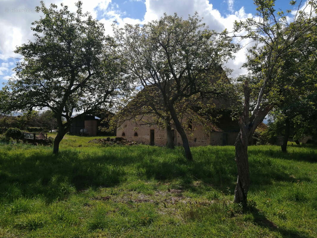 Ancien corps de ferme sur plus d'un hectare ! - photo 2