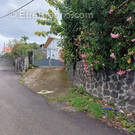 Maison F 3 plein pied  avec Jardin - Maison à SAINT-LOUIS