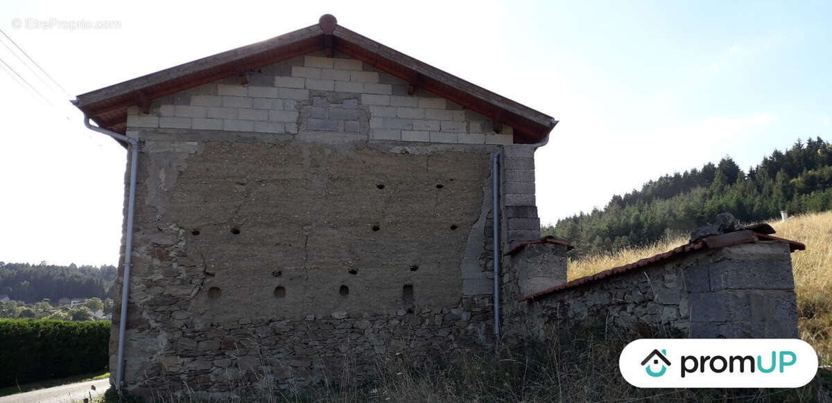 Terrain à AMBERT
