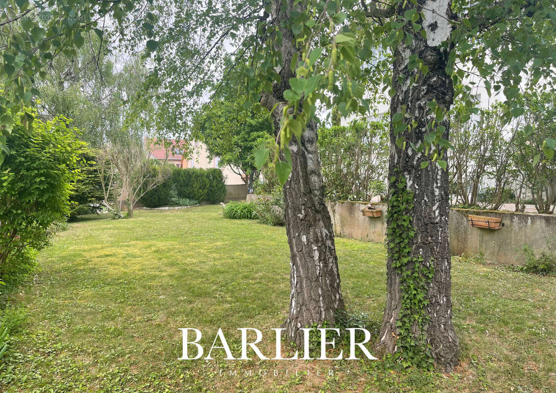 Appartement à ACHENHEIM
