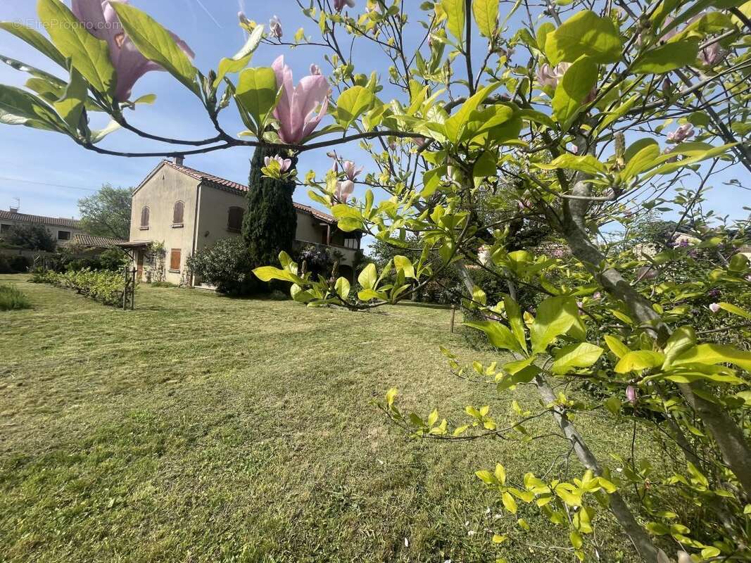Maison à LIVRON-SUR-DROME