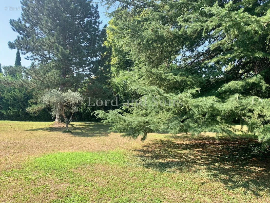 Maison à CARPENTRAS