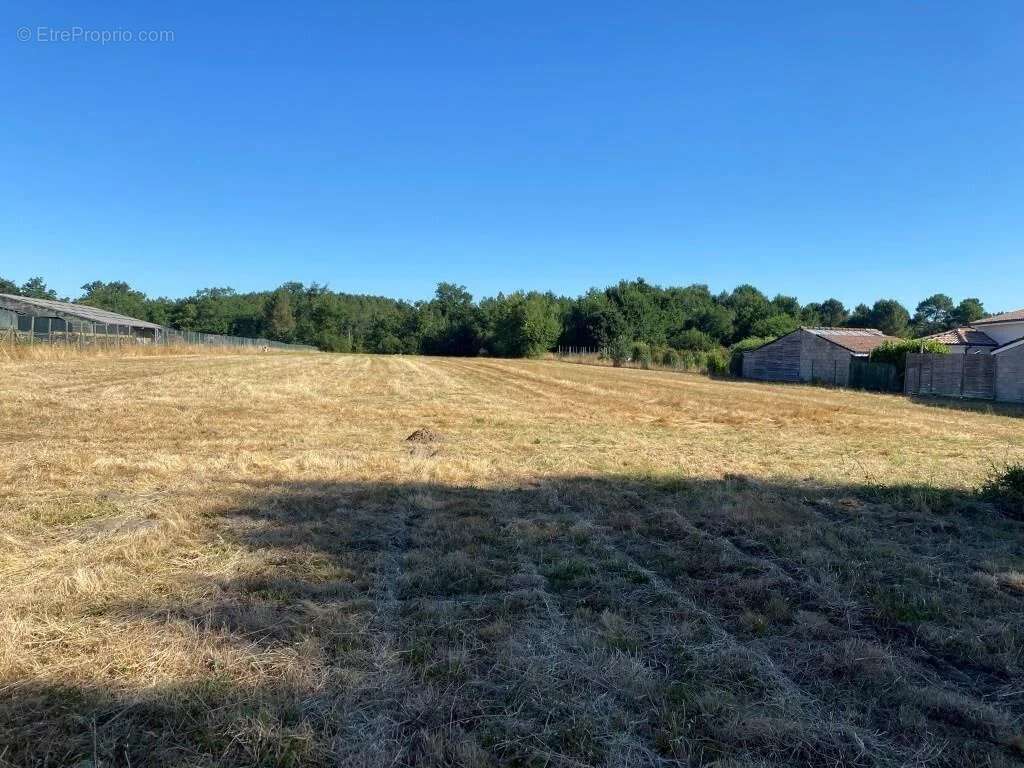Terrain à BUSSAC-FORET