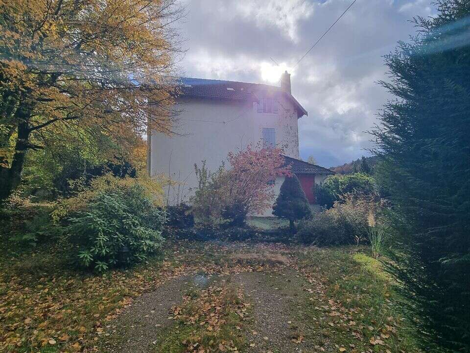 Bien immobilier à vendre à Epinal (88000) - photo 4