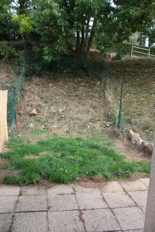 Proche alencon - photo 8