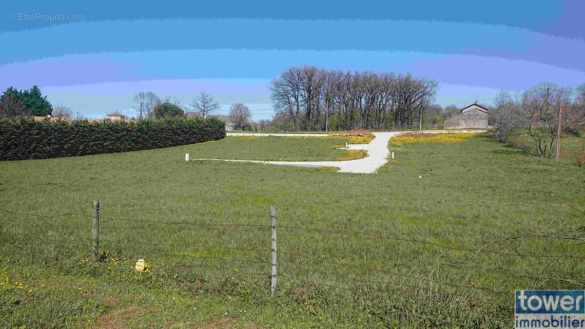 Terrain à SAINTE-CROIX