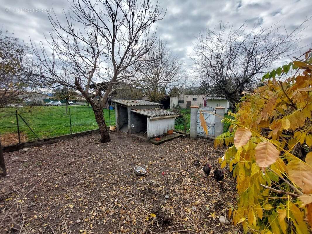 20251119141918 - Terrain à SAINT-MARTORY