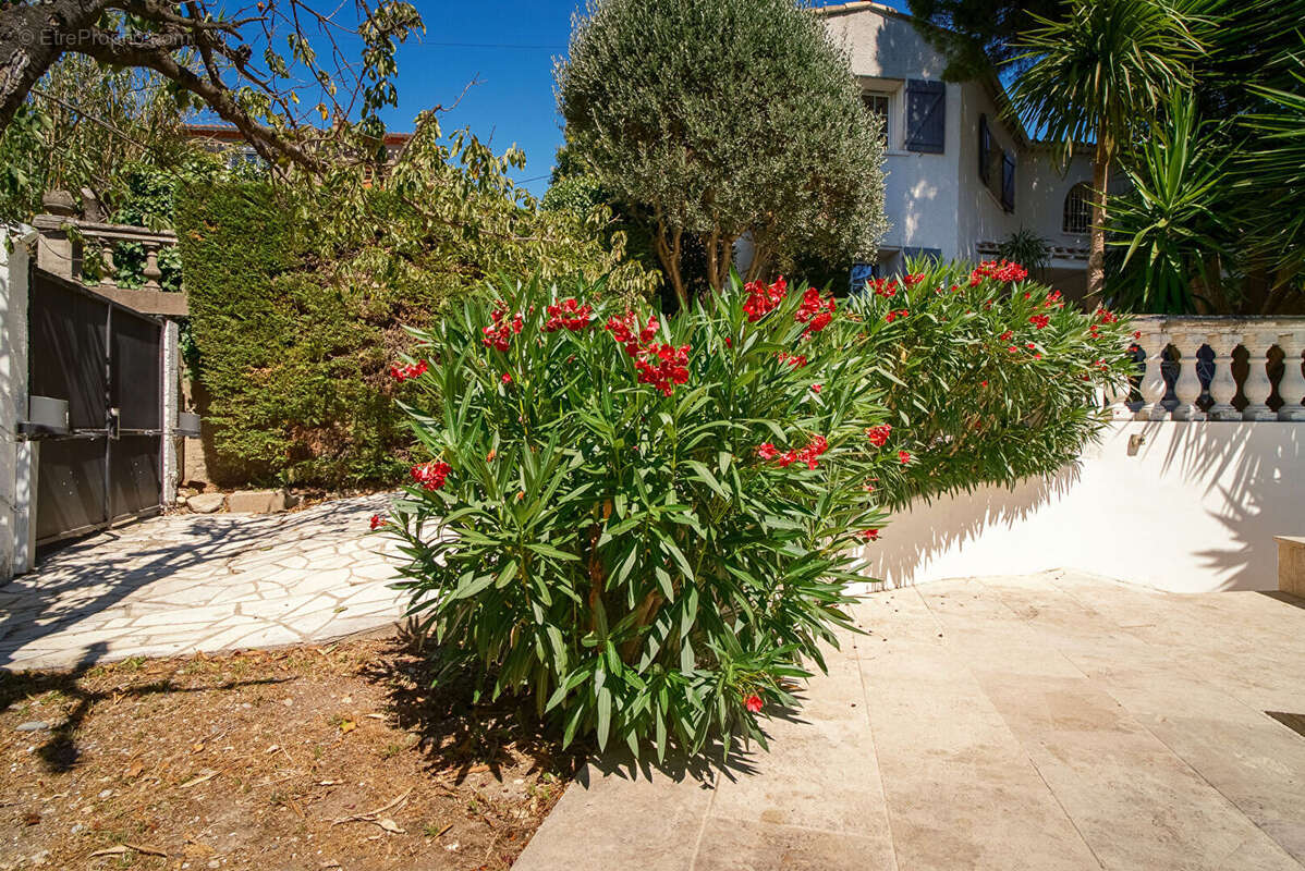Maison à CARCASSONNE