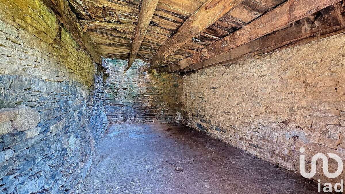 Photo 8 - Maison à ALLAIRE