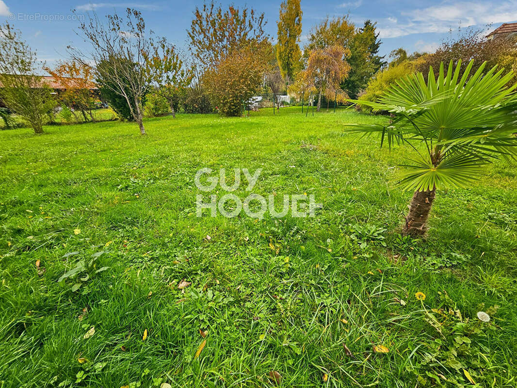Maison à MARLES-EN-BRIE
