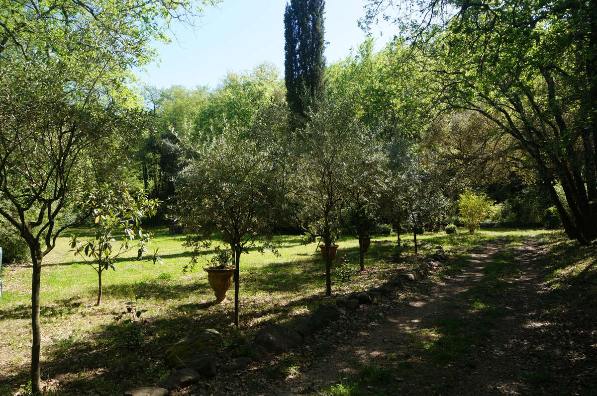 Terrain non constructible avec cabanon - photo 6