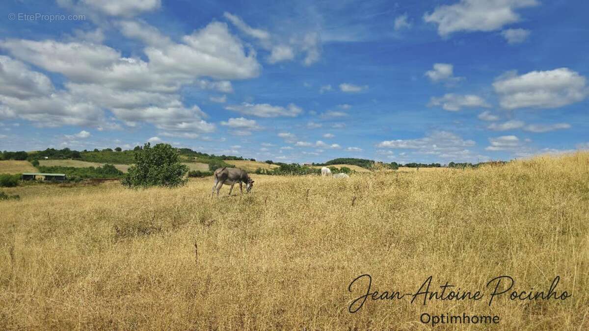 Maison de campagne à vendre 9 pièces  (31) - photo 52