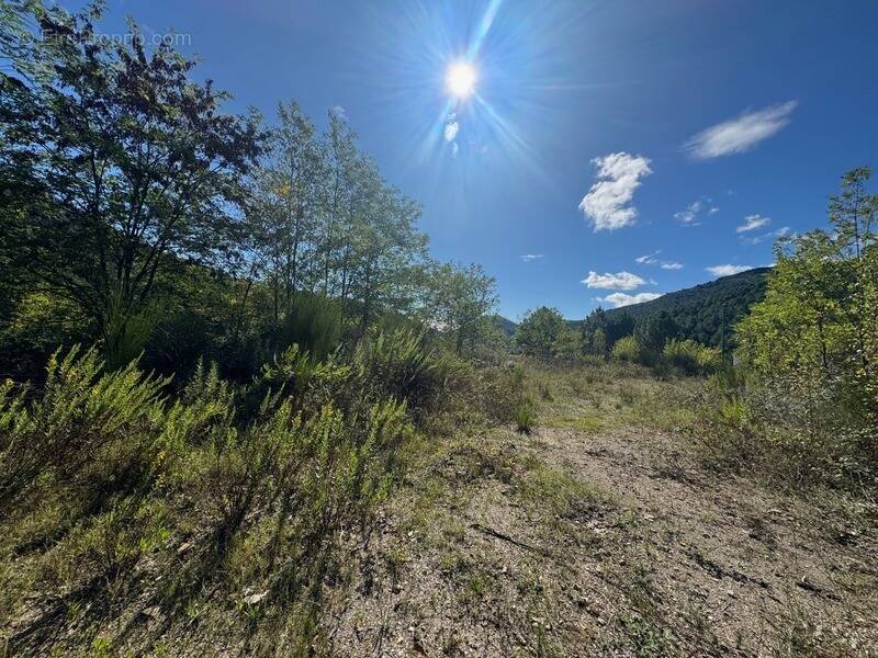 Terrain à LE MARTINET