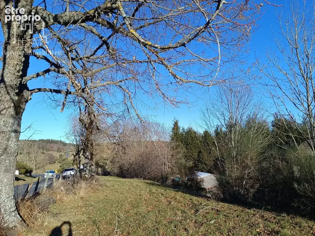 Vente Terrain Fau-de-peyre(48130) 25 000ï¿œ - photo 2