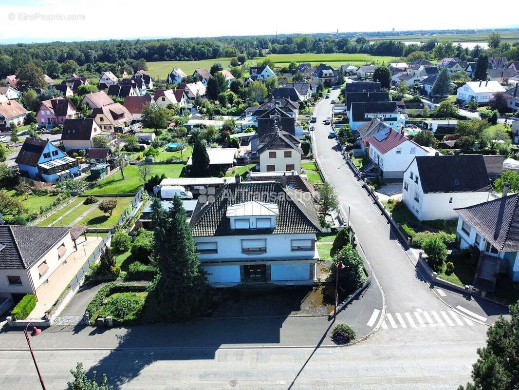 Maison 337 m² à Nordhouse  - photo 10