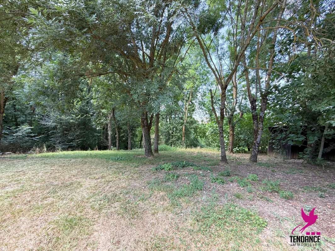 Terrain à PELLEPORT