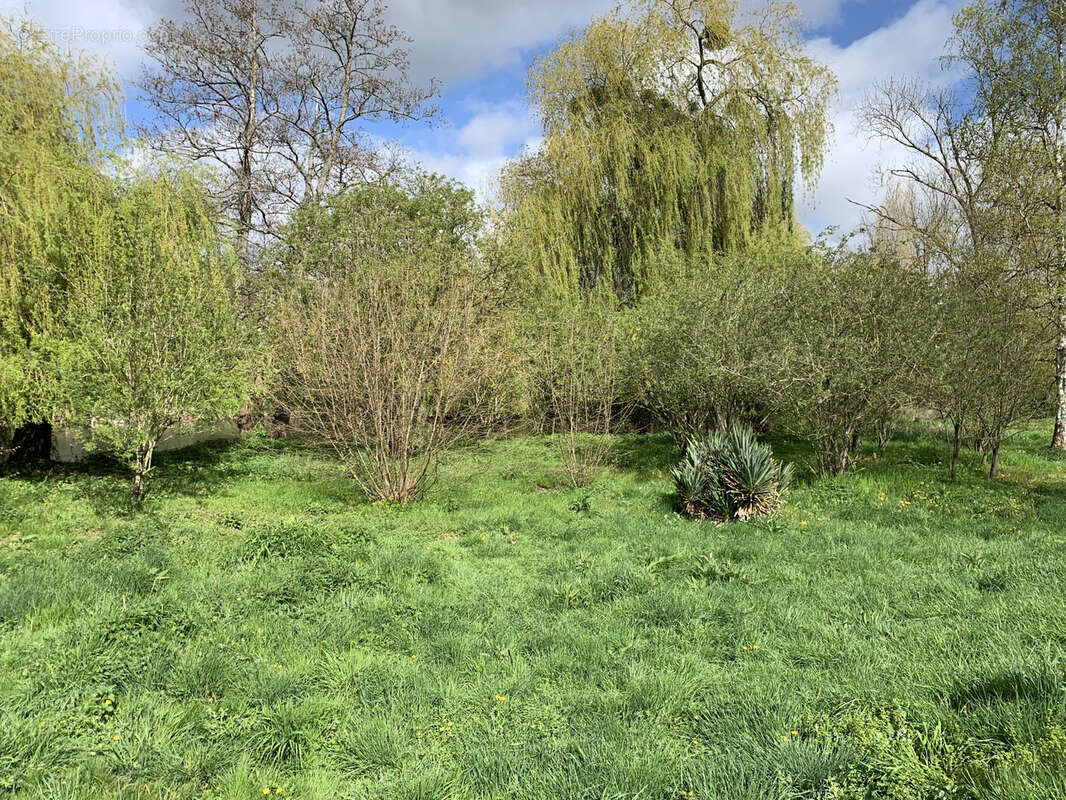 Magnifique terrain de loisirs arboré au bord de l'Eure ! à 2 mn d' Anet - photo 4