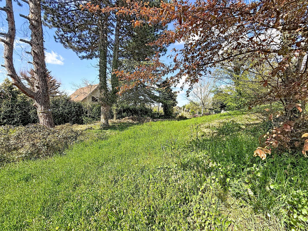 Terrain à SAINTE-FOY-LES-LYON