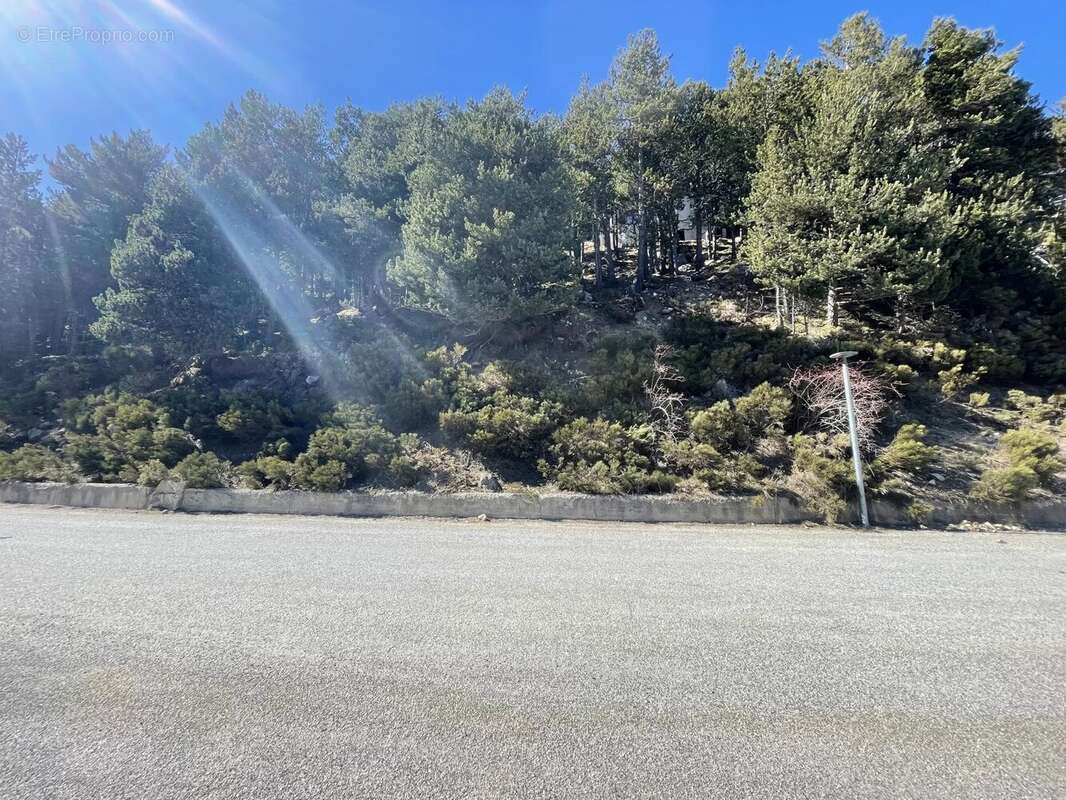 Terrain à LES ANGLES