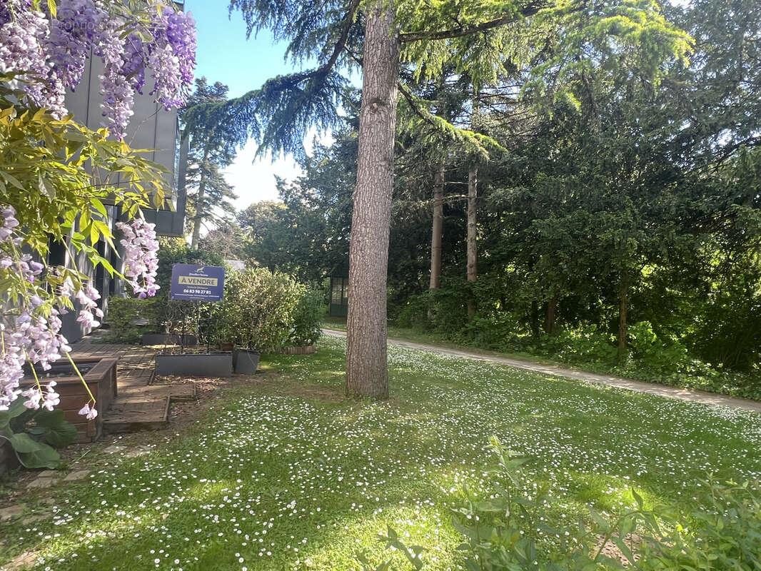 Appartement à TOURS