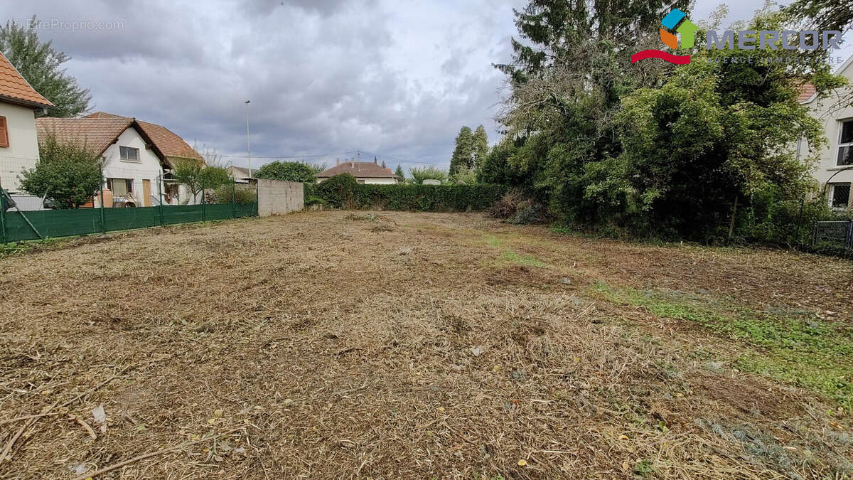 Terrain à KOLBSHEIM