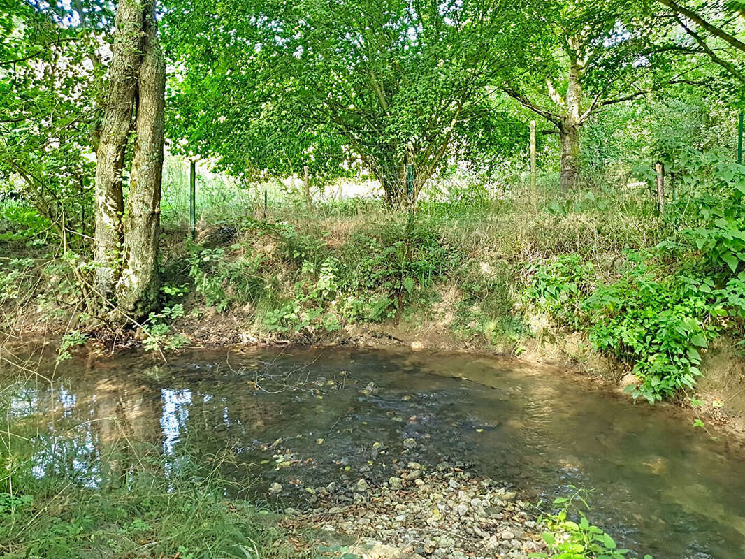 Terrain de détente et de loisirs non constructible dans un cadre champêtre à 5 minutes de Pont Audemer - photo 6