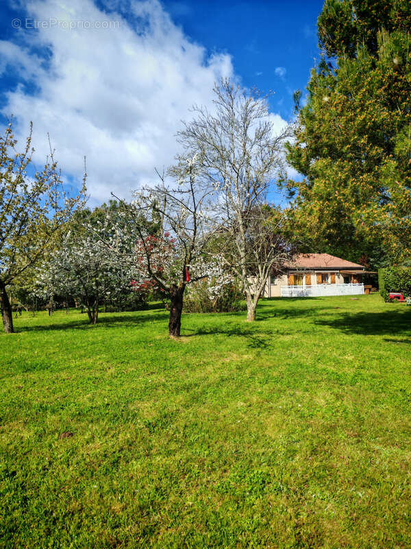 Maison à LISLE-SUR-TARN