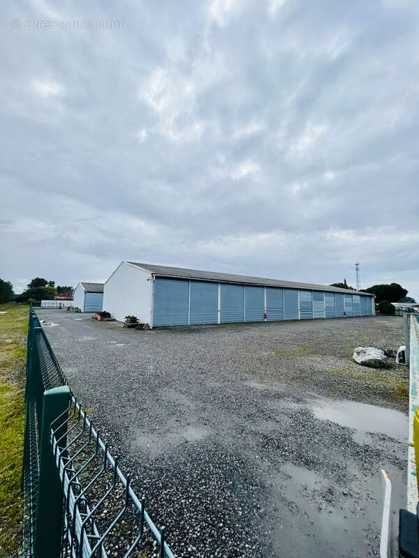 Commerce à GUJAN-MESTRAS