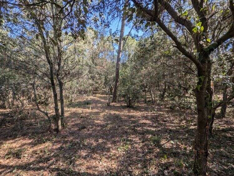 Terrain Constructible de 1550 m² à La Palmyre - photo 2