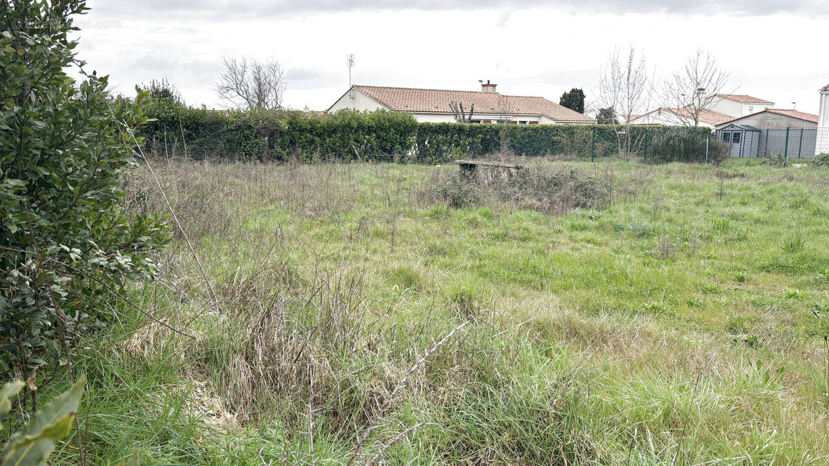 Terrain à SAINT-VINCENT-SUR-JARD