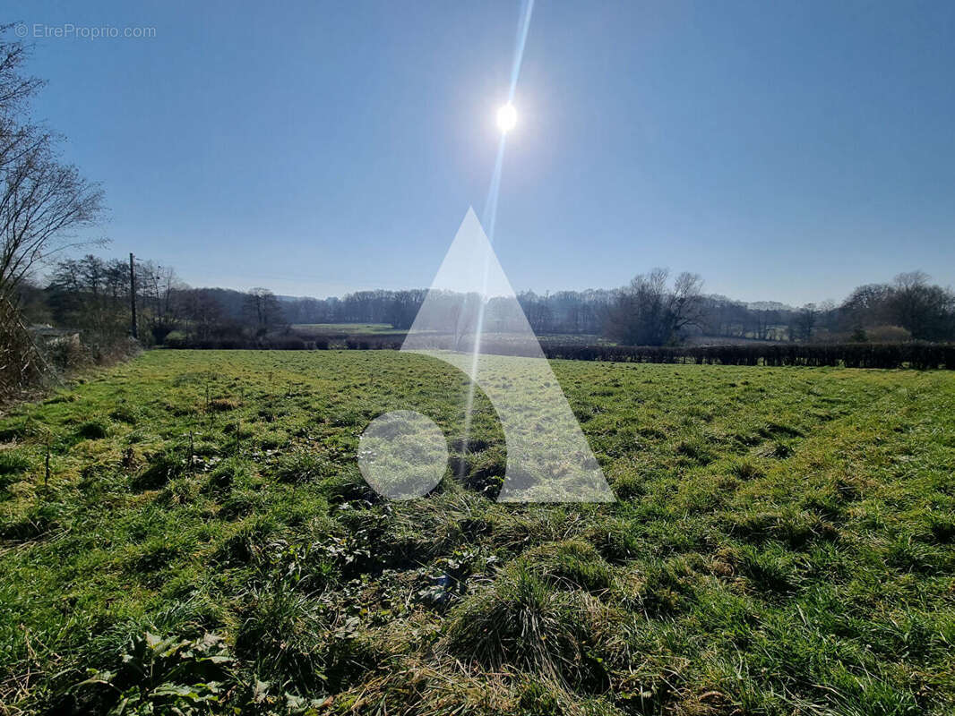 Terrain à SAINT-VALLIER