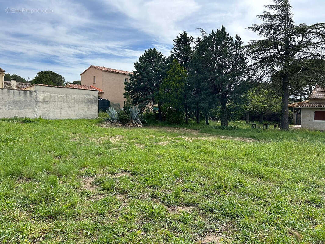 Terrain à FONTVIEILLE