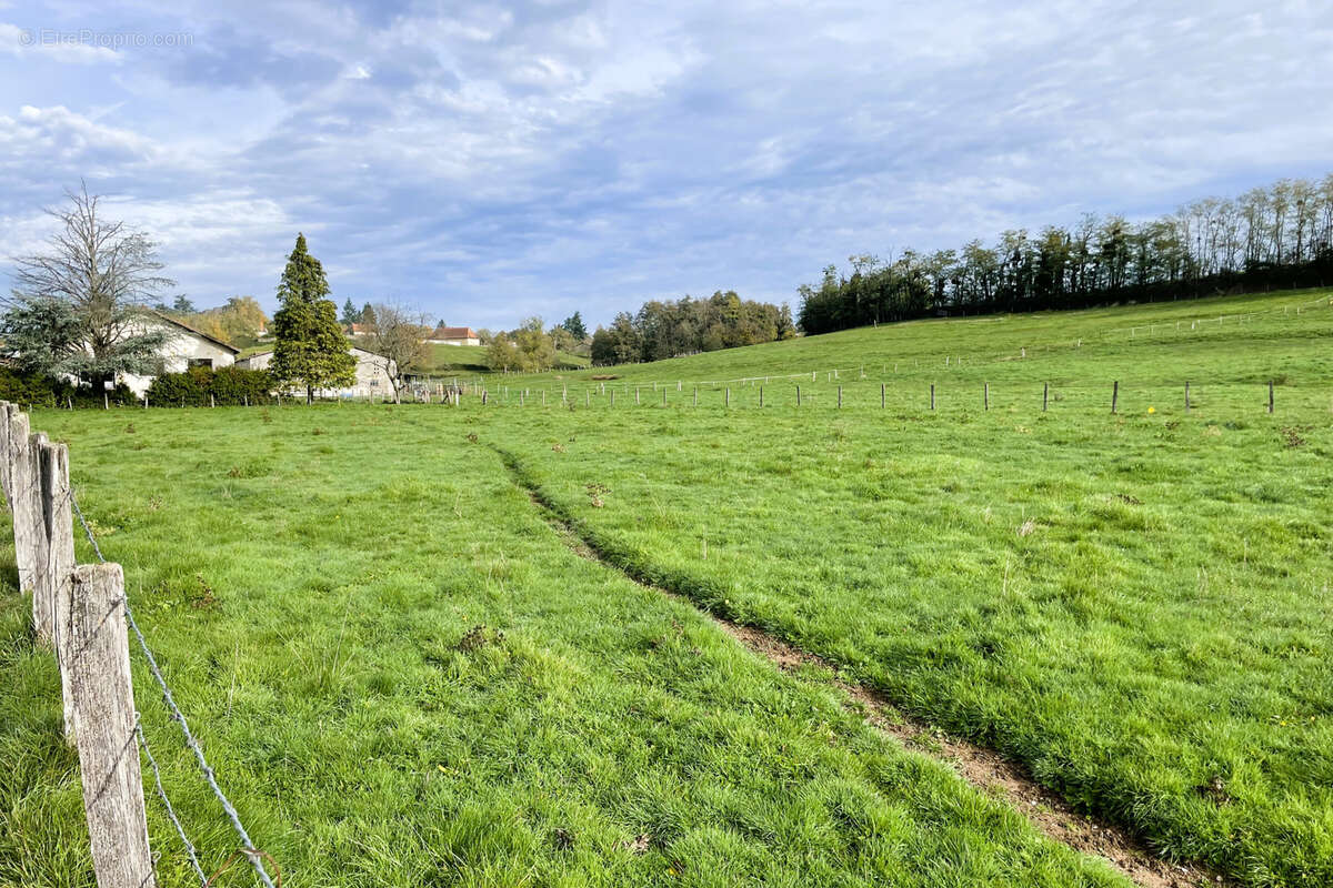Terrain à VARENNE-SAINT-GERMAIN