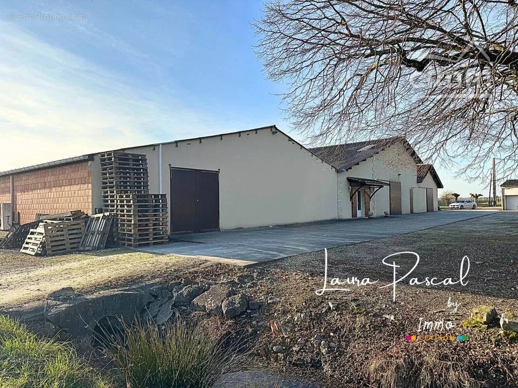 Maison à PLEINE-SELVE