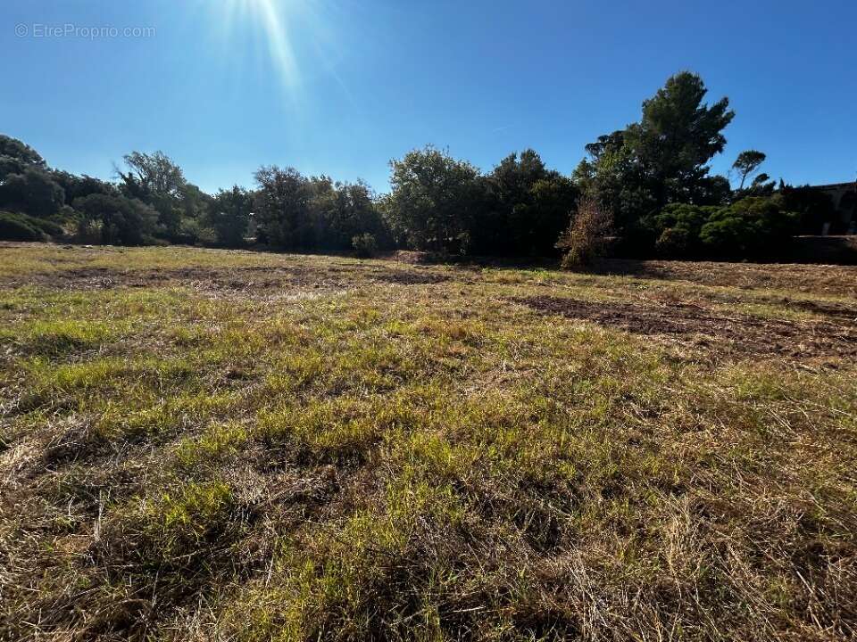 Terrain à FREJUS