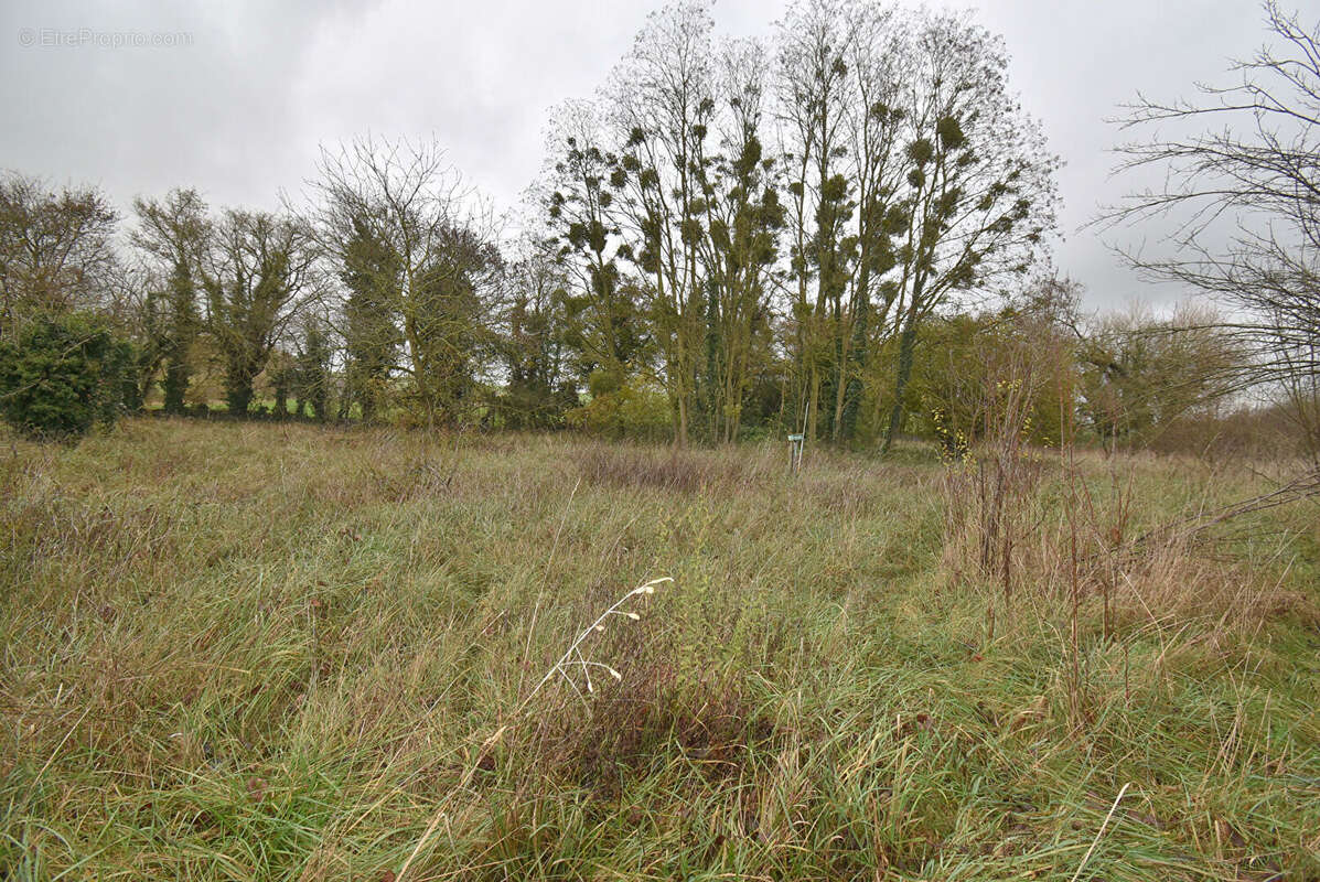 Maison à COURCELLES-SUR-VOIRE