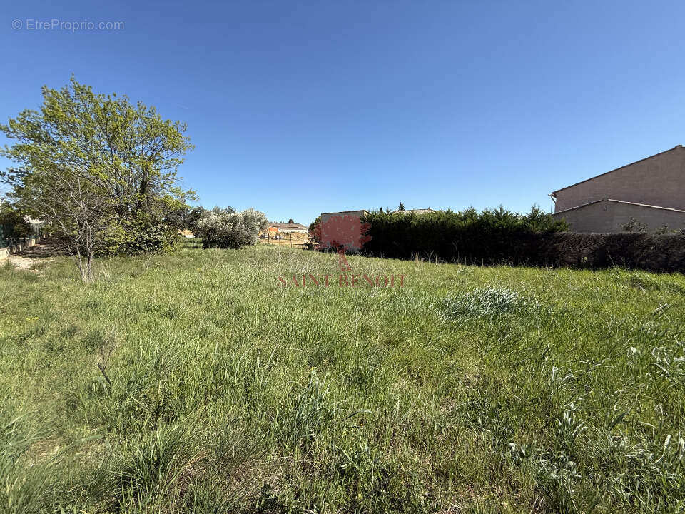 Terrain à MONTPEYROUX