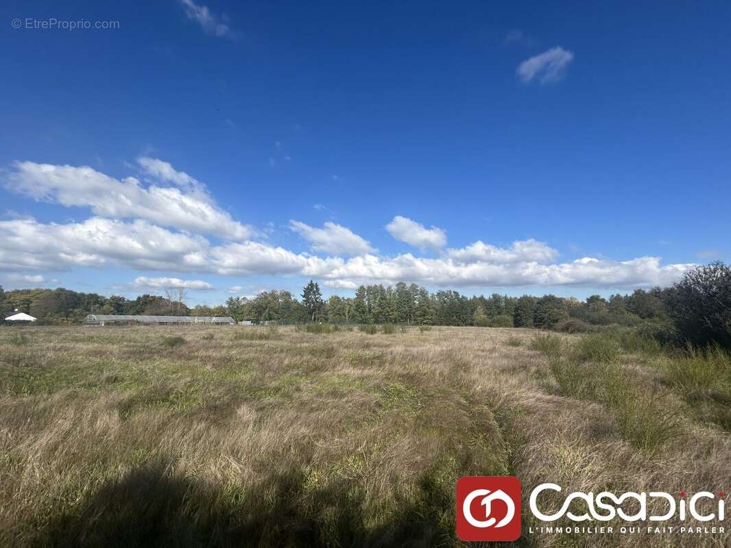 Terrain à DECIZE