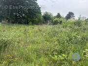 Maison à VILLENEUVE-D'ASCQ