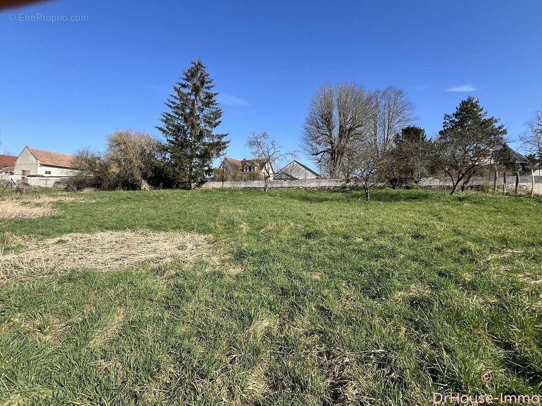 Terrain à SAINT-BENOIT-SUR-SEINE