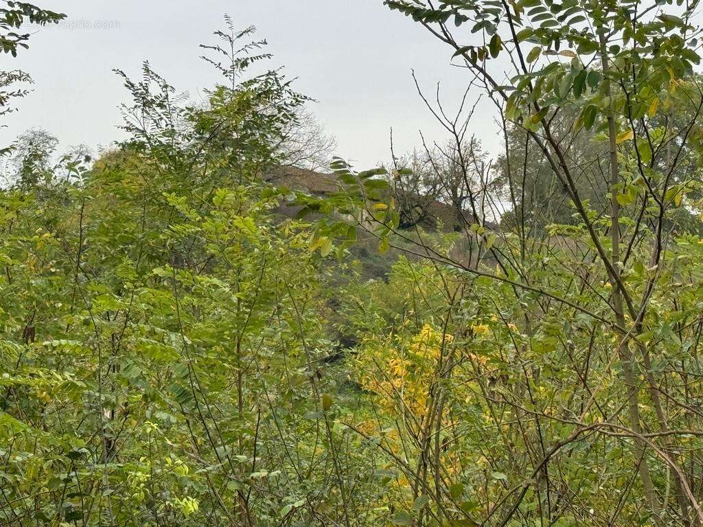 Photo 3 - Terrain à TOSSIAT