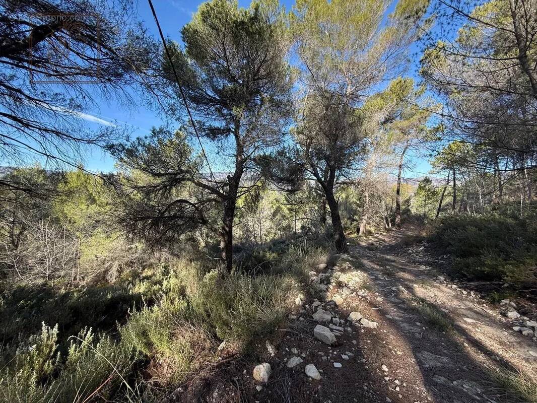 Terrain à L'ESCARENE