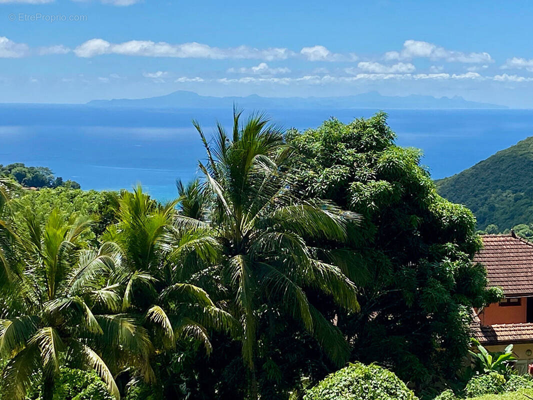 Terrain à SAINTE-LUCE