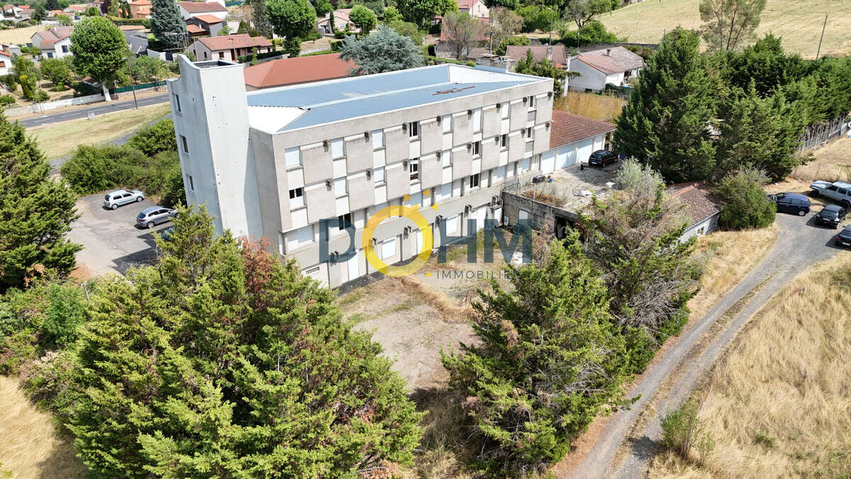 Ensemble immobilier d'exception à Brioude   Plus de 1 700 m2 bâtis sur 7 700 m2 de terrain - photo 2