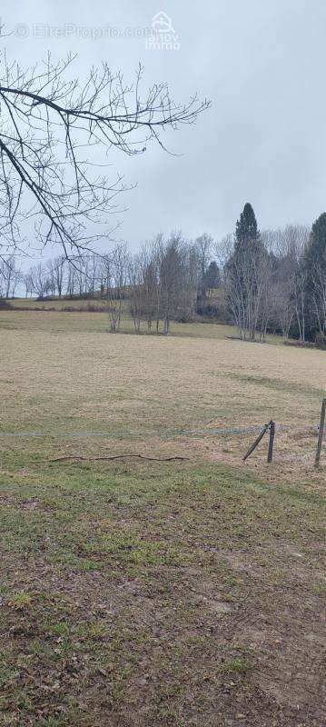 Terrain à SAINT-MARTIN-D'URIAGE