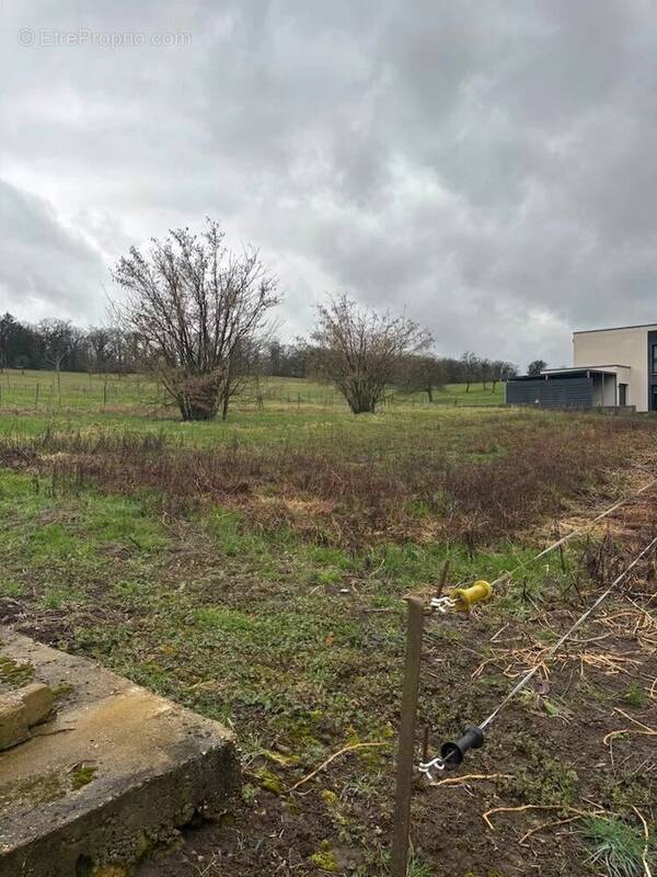 Terrain à GRINDORFF-BIZING